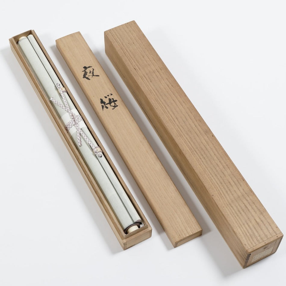 京都表具協同組合「SENSE of 京表具」掛け軸 絹本 夜桜 衣川 充洋 Kinugawa
